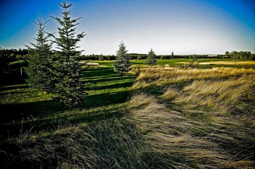 Golf Hotel Lisia Polana Pomocnia Екстер'єр фото